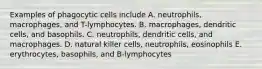 Examples of phagocytic cells include A. neutrophils, macrophages, and T-lymphocytes. B. macrophages, dendritic cells, and basophils. C. neutrophils, dendritic cells, and macrophages. D. natural killer cells, neutrophils, eosinophils E. erythrocytes, basophils, and B-lymphocytes