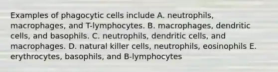 Examples of phagocytic cells include A. neutrophils, macrophages, and T-lymphocytes. B. macrophages, dendritic cells, and basophils. C. neutrophils, dendritic cells, and macrophages. D. natural killer cells, neutrophils, eosinophils E. erythrocytes, basophils, and B-lymphocytes