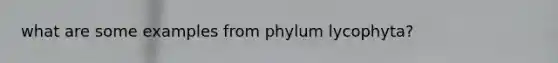 what are some examples from phylum lycophyta?