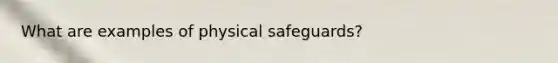 What are examples of physical safeguards?