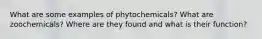 What are some examples of phytochemicals? What are zoochemicals? Where are they found and what is their function?