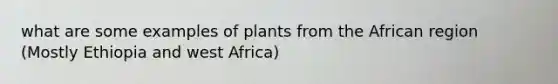 what are some examples of plants from the African region (Mostly Ethiopia and west Africa)