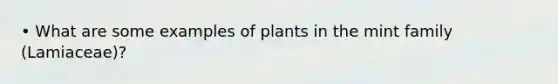 • What are some examples of plants in the mint family (Lamiaceae)?