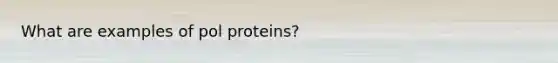 What are examples of pol proteins?