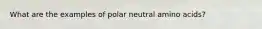 What are the examples of polar neutral amino acids?