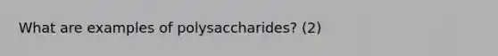 What are examples of polysaccharides? (2)