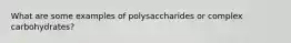 What are some examples of polysaccharides or complex carbohydrates?