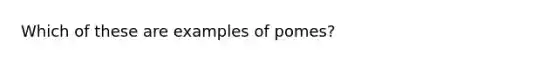 Which of these are examples of pomes?