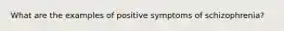 What are the examples of positive symptoms of schizophrenia?