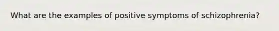 What are the examples of positive symptoms of schizophrenia?