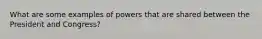 What are some examples of powers that are shared between the President and Congress?