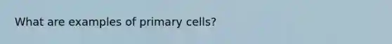 What are examples of primary cells?