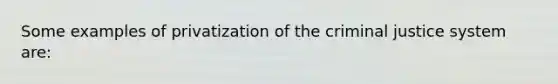 Some examples of privatization of <a href='https://www.questionai.com/knowledge/kuANd41CrG-the-criminal-justice-system' class='anchor-knowledge'>the criminal justice system</a> are: