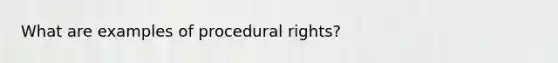 What are examples of procedural rights?