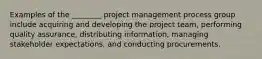 Examples of the ________ project management process group include acquiring and developing the project team, performing quality assurance, distributing information, managing stakeholder expectations, and conducting procurements.