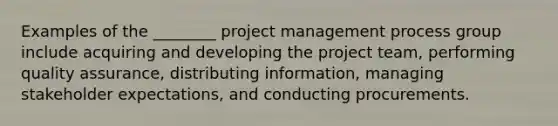 Examples of the ________ project management process group include acquiring and developing the project team, performing quality assurance, distributing information, managing stakeholder expectations, and conducting procurements.