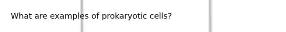 What are examples of prokaryotic cells?