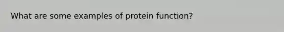 What are some examples of protein function?