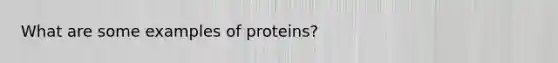 What are some examples of proteins?