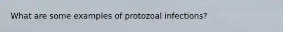 What are some examples of protozoal infections?