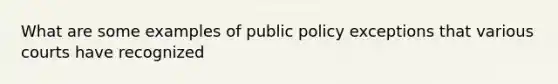 What are some examples of public policy exceptions that various courts have recognized