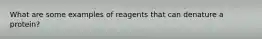 What are some examples of reagents that can denature a protein?