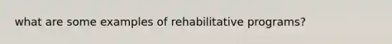 what are some examples of rehabilitative programs?