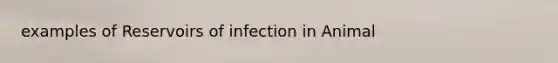 examples of Reservoirs of infection in Animal