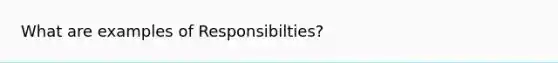 What are examples of Responsibilties?