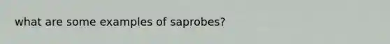 what are some examples of saprobes?