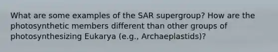 What are some examples of the SAR supergroup? How are the photosynthetic members different than other groups of photosynthesizing Eukarya (e.g., Archaeplastids)?