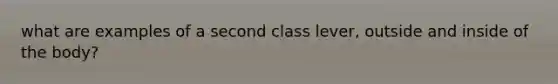 what are examples of a second class lever, outside and inside of the body?