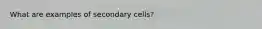 What are examples of secondary cells?