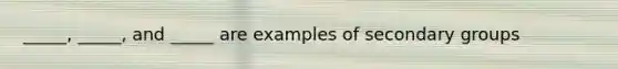 _____, _____, and _____ are examples of secondary groups