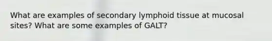 What are examples of secondary lymphoid tissue at mucosal sites? What are some examples of GALT?