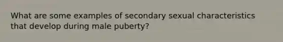 What are some examples of secondary sexual characteristics that develop during male puberty?