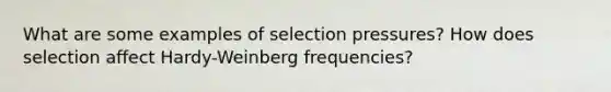 What are some examples of selection pressures? How does selection affect Hardy-Weinberg frequencies?