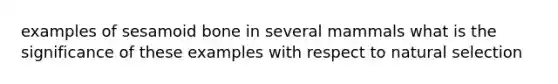 examples of sesamoid bone in several mammals what is the significance of these examples with respect to natural selection