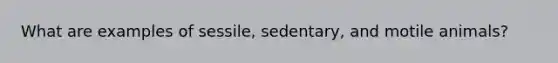 What are examples of sessile, sedentary, and motile animals?