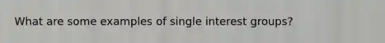 What are some examples of single interest groups?