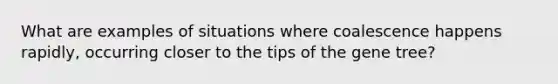 What are examples of situations where coalescence happens rapidly, occurring closer to the tips of the gene tree?