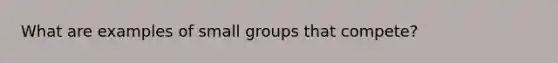 What are examples of small groups that compete?