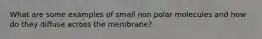 What are some examples of small non polar molecules and how do they diffuse across the membrane?