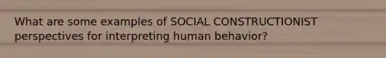 What are some examples of SOCIAL CONSTRUCTIONIST perspectives for interpreting human behavior?