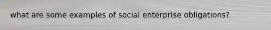 what are some examples of social enterprise obligations?