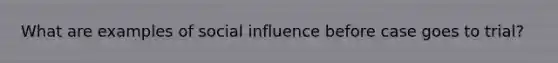 What are examples of social influence before case goes to trial?