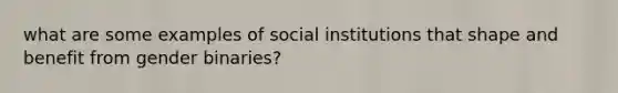 what are some examples of social institutions that shape and benefit from gender binaries?