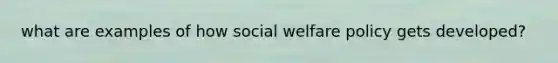 what are examples of how social welfare policy gets developed?