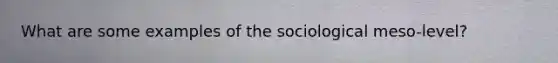 What are some examples of the sociological meso-level?