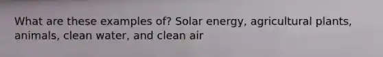 What are these examples of? Solar energy, agricultural plants, animals, clean water, and clean air